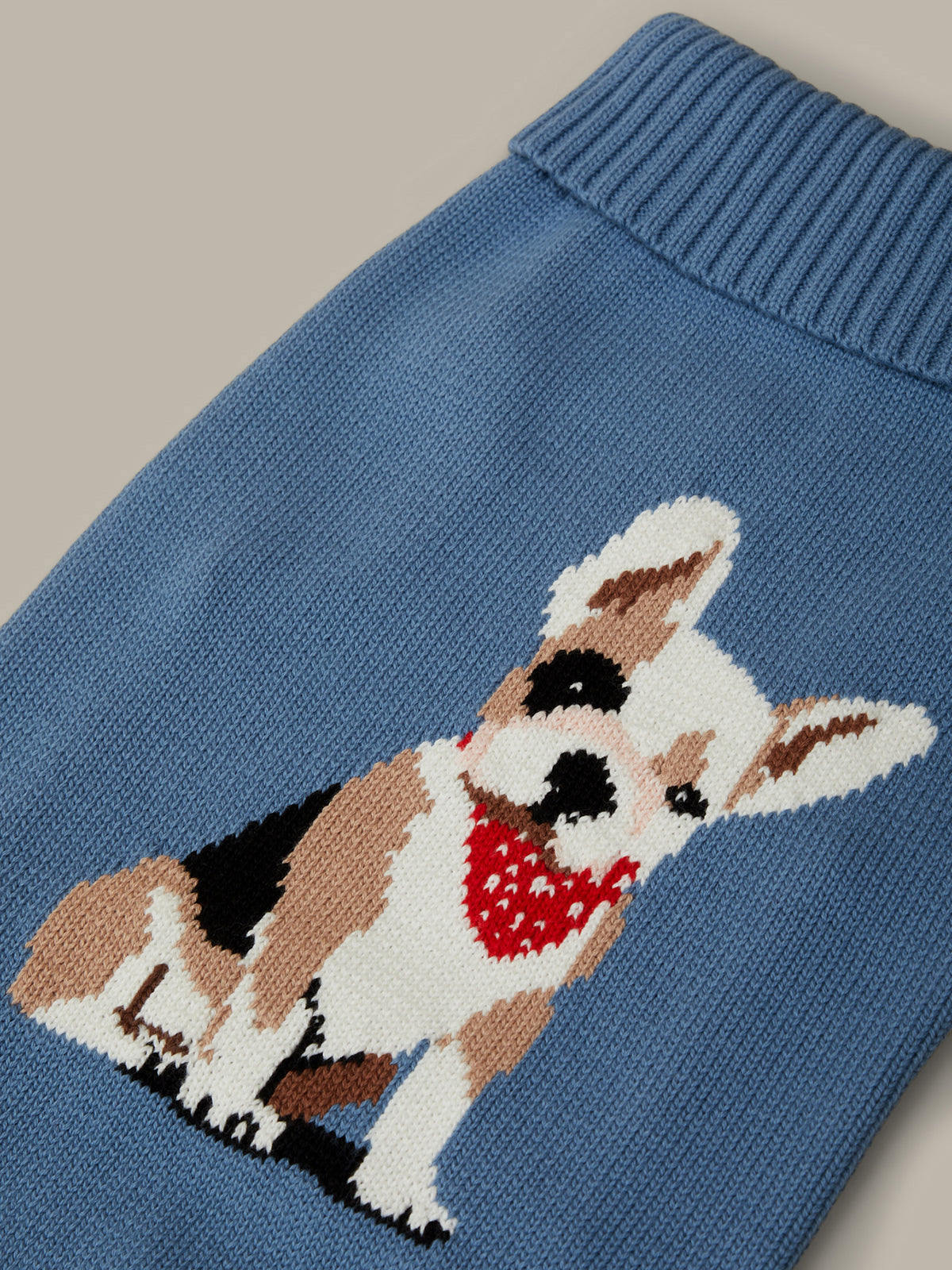 Blue sweater with a dog design on a neutral background