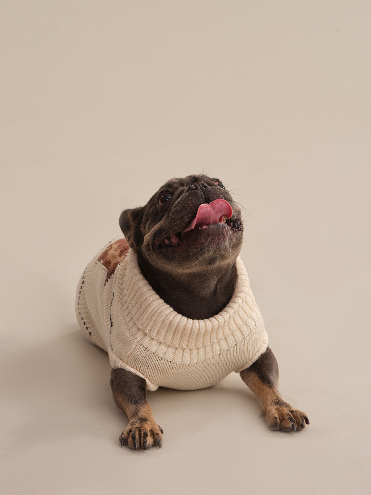 Frenchie Intarsia Cotton Dog Sweater