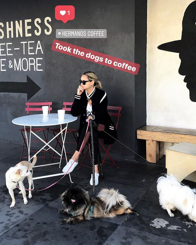 Liz Cherkasova Loves Coffee, Dogs & 525 America — Maybe in That Order