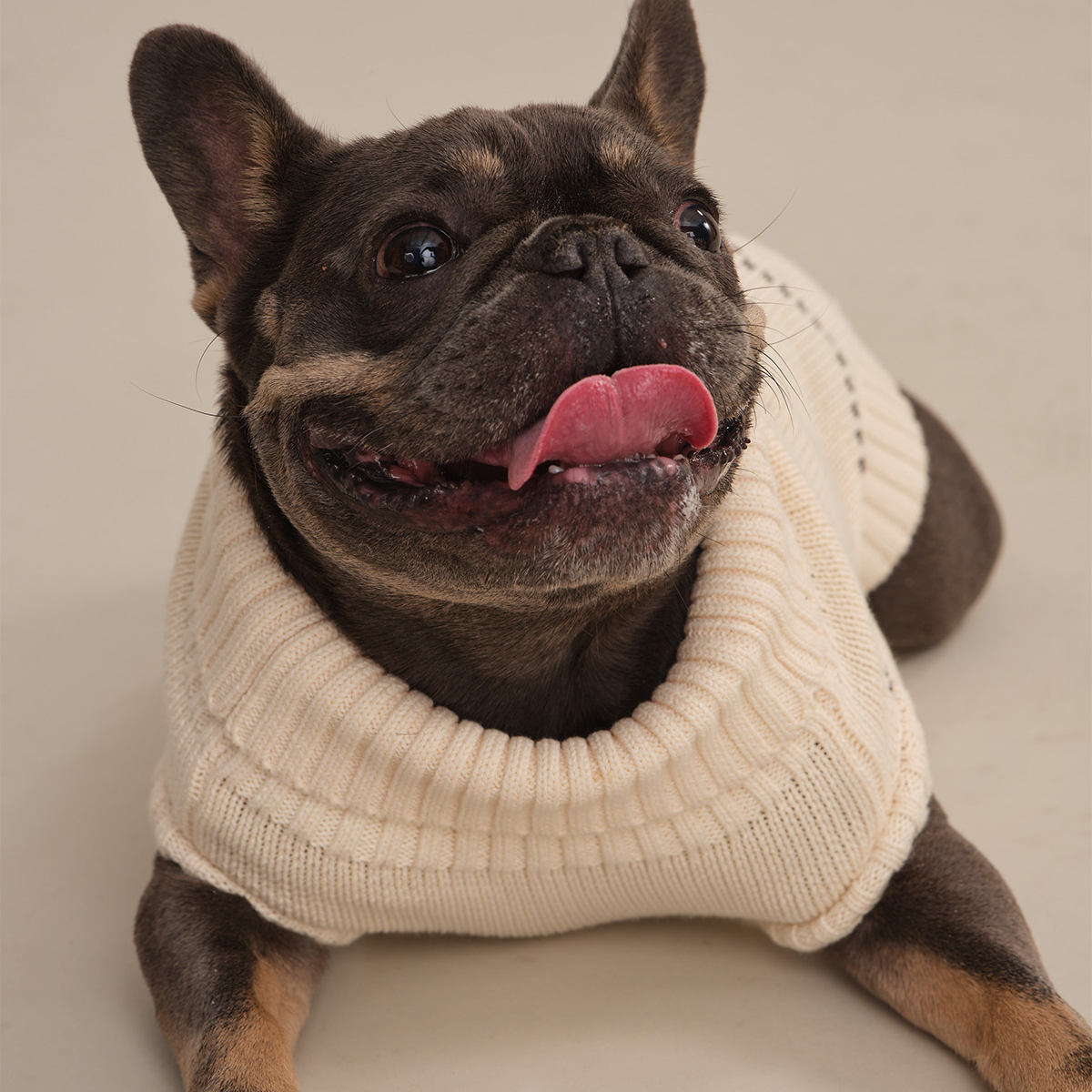 Style Is Better Shared: 525's First-Ever Luxury Pet Collection