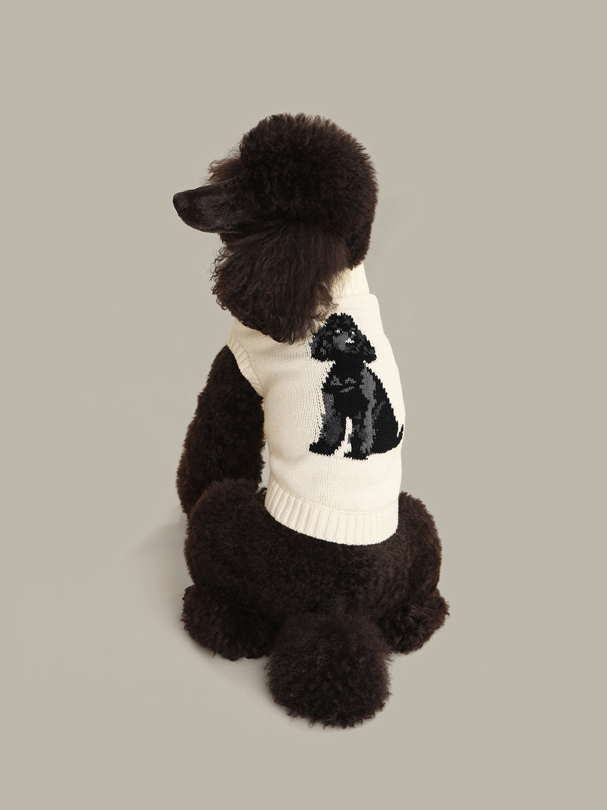 トップス RANDY Peel off POODLE PULLOVER CARDIGAN 525 America Cotton Poodle Dog Sweater