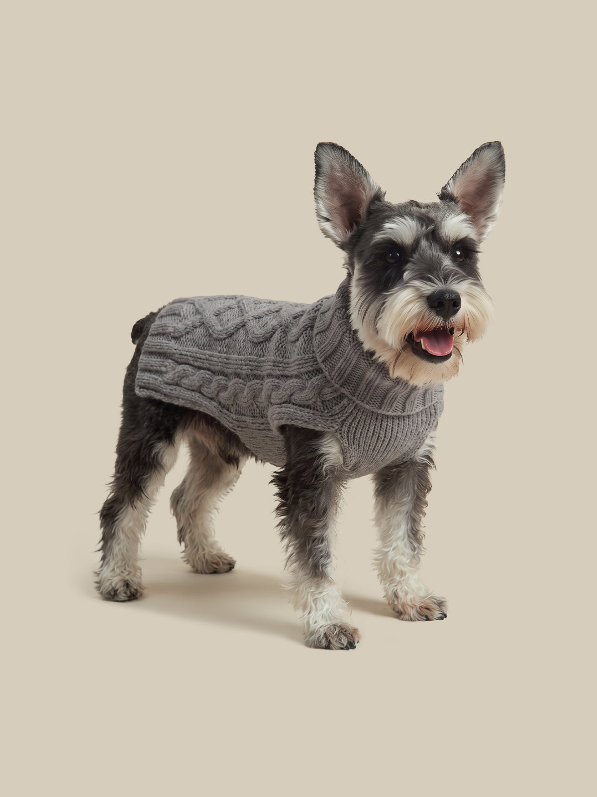 Cable Wool Blend Dog Sweater