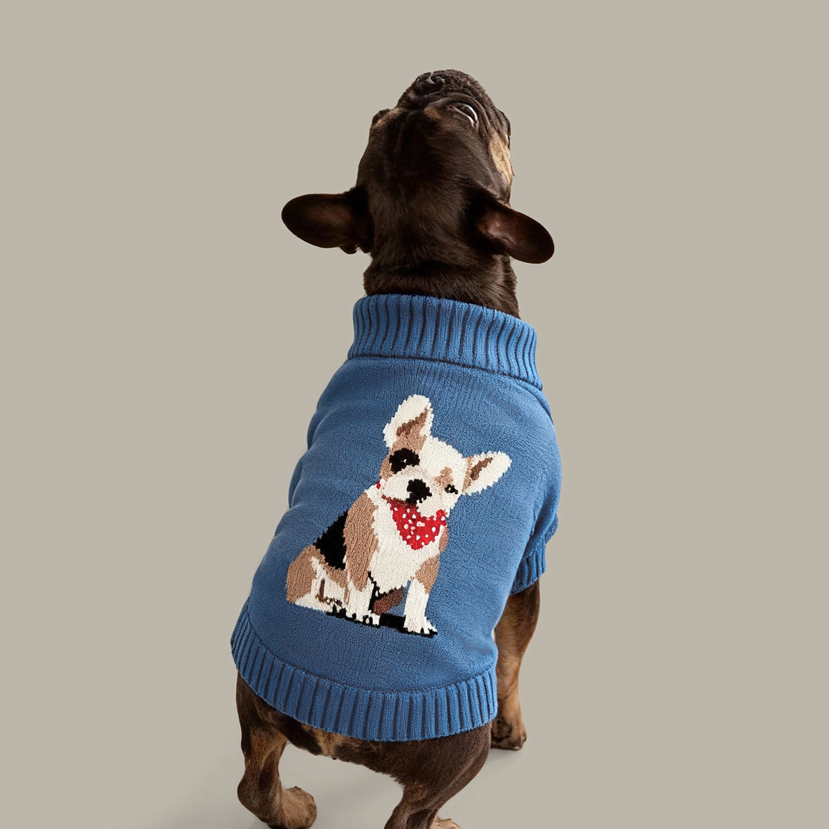 Boston Terrier Cotton Dog Sweater