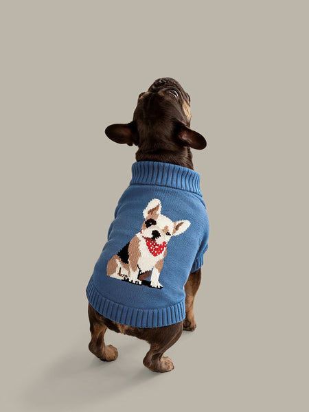 525 America Boston Terrier Cotton Dog Sweater