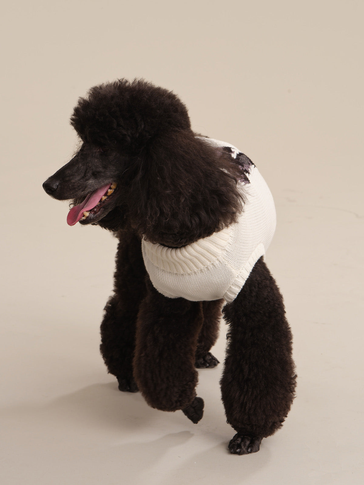 Cotton Poodle Dog Sweater
